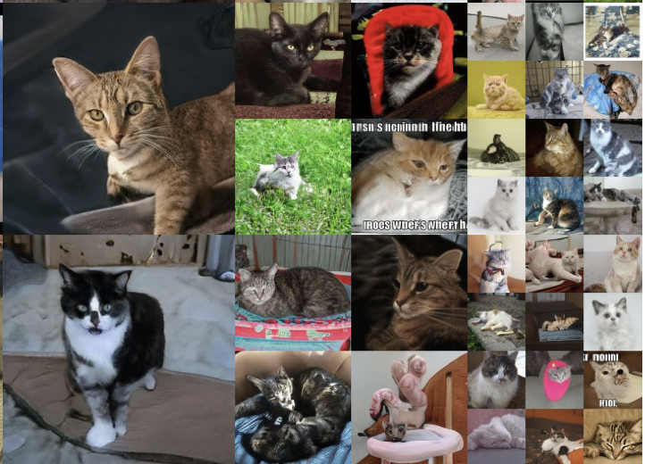 A Style-Based Generator Architecture for Generative Adversarial Networks