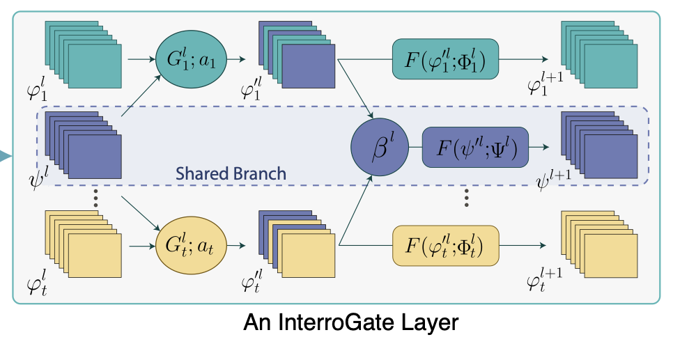 InterroGate: Learning to Share, Specialize, and Prune Representations for Multi-Task Learning